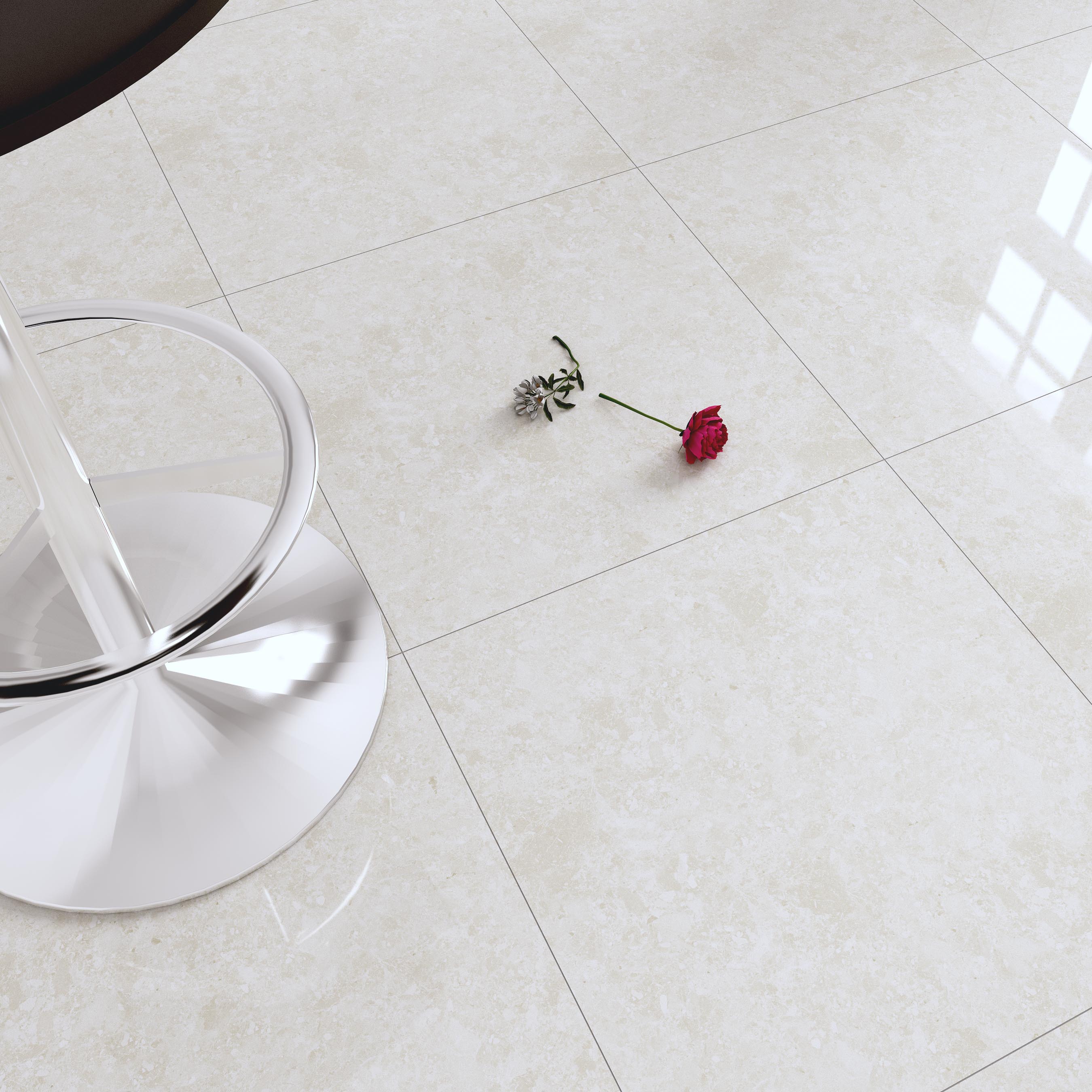 دومنیکا صدفی